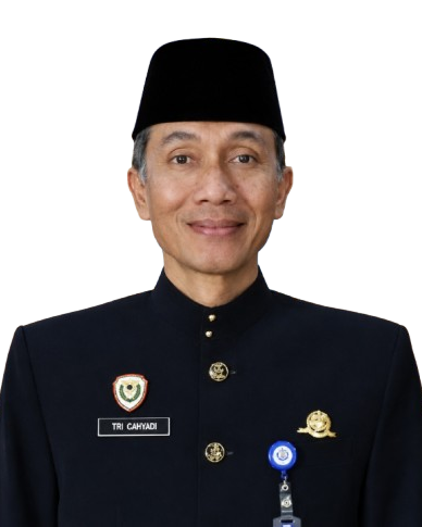 Principal of Transportation Maritime Institute